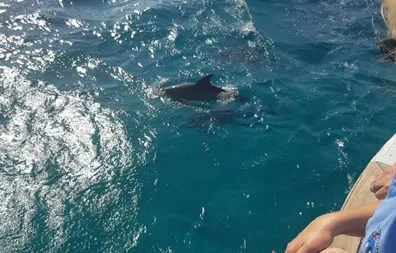 Marele Acvariu din Hurghada