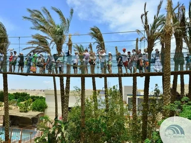 Marele Acvariu din Hurghada