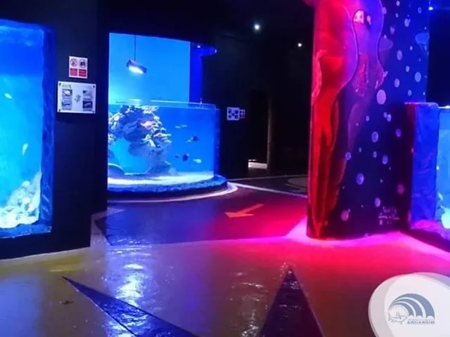 Marele Acvariu din Hurghada