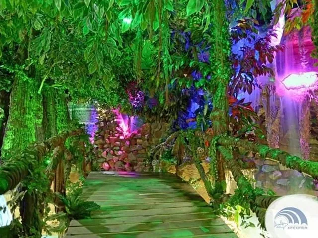 Marele Acvariu din Hurghada