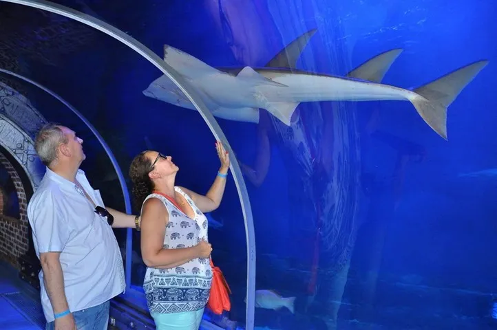Marele Acvariu din Hurghada