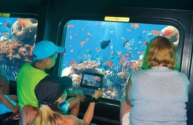 Marele Acvariu din Hurghada
