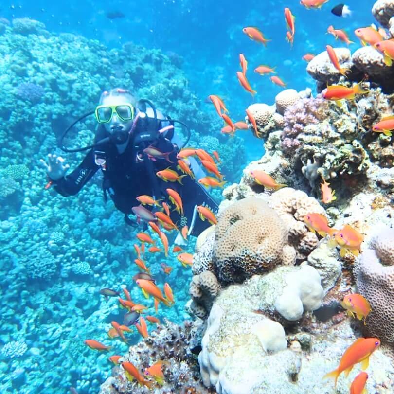 WYCIECZKA-NURKOWANIE-HURGHADA