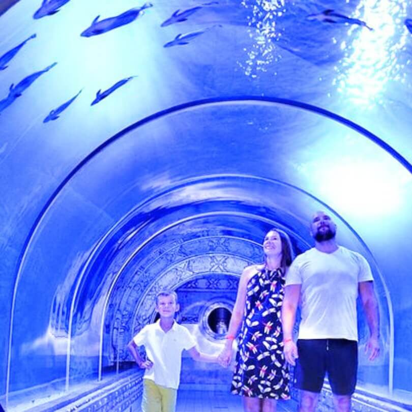 oceanarium-hurghda-wycieczka