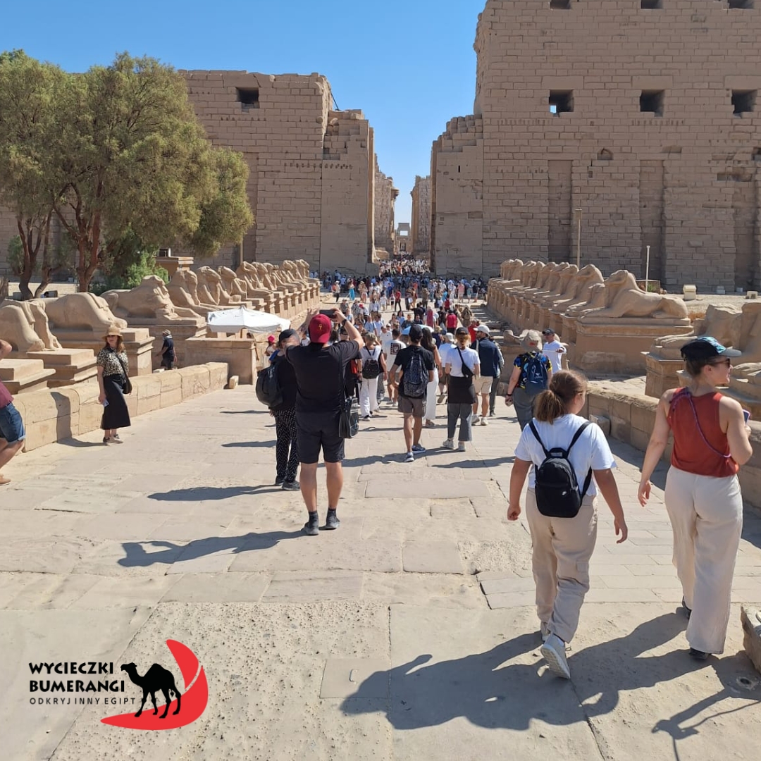 480702660_934808878787295_5911960180418195070_n