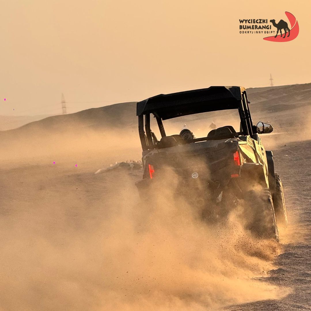 494424329_996419232626259_6662717988427591146_n