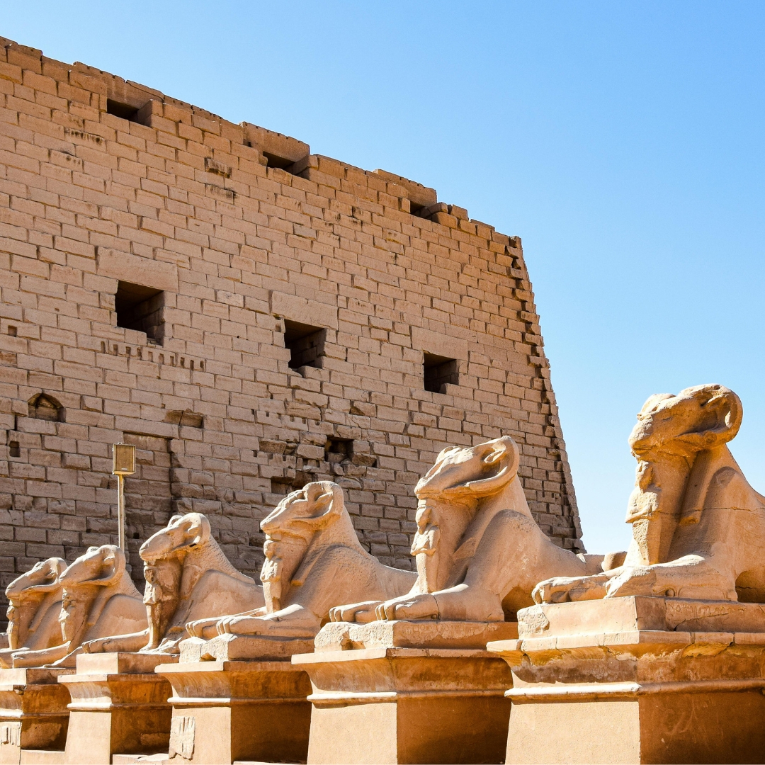 546986557_1087149890219859_1420157993462308411_n