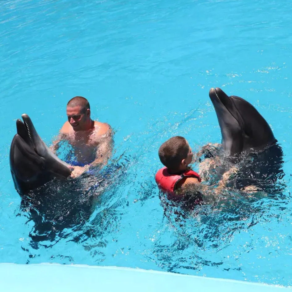 delfinarium-show-hurghada (2)