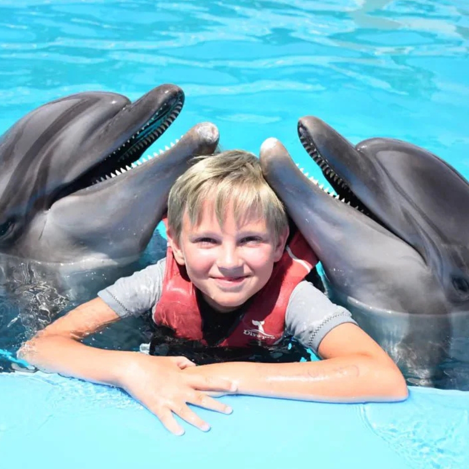 delfinarium-show-hurghada (4)