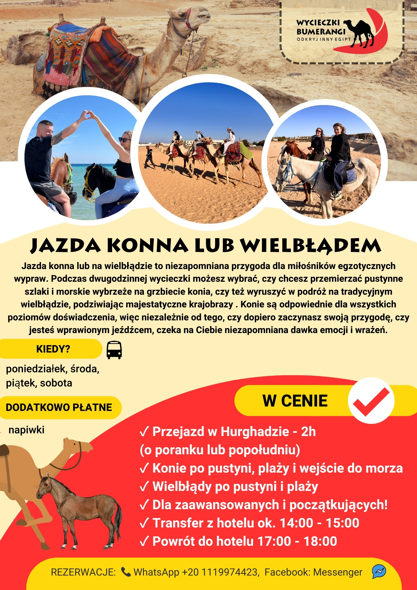 jazda-konna-wielbłądem-hurghada