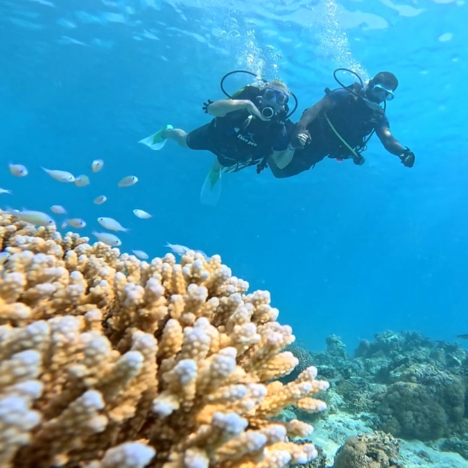 nurkowanie-z-instruktorem-hurghada