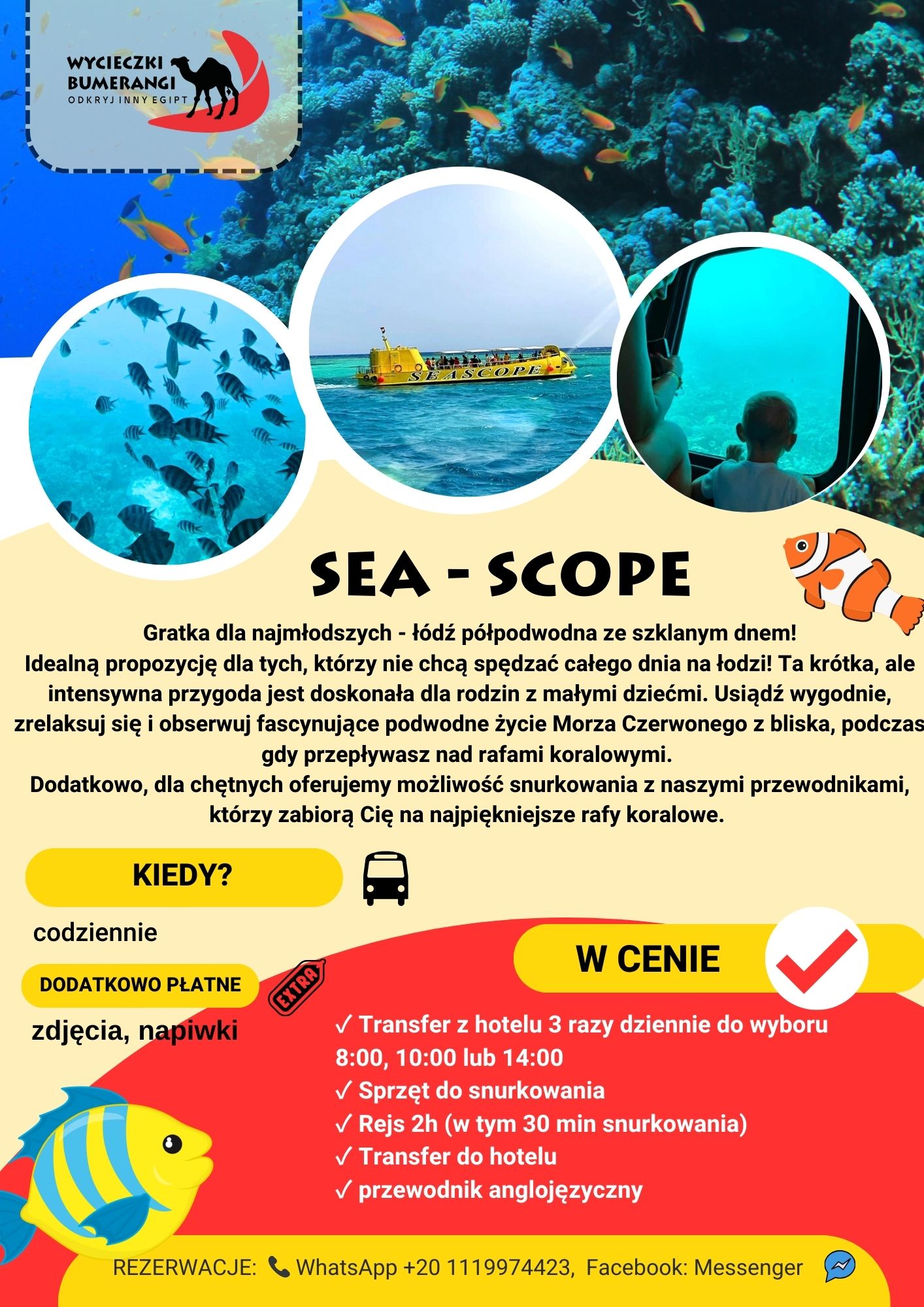 sea-scoope