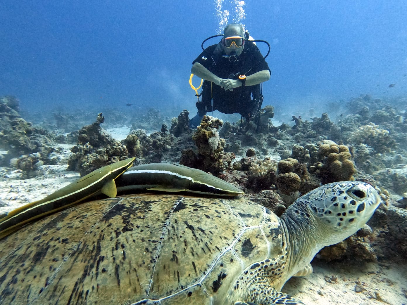 WhatsApp Image 2026-04-12 at 15.49.14 (2)