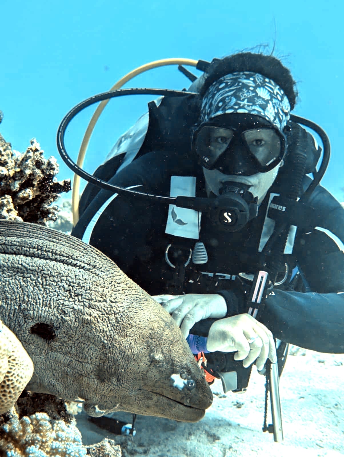 WhatsApp Image 2026-04-12 at 15.49.14